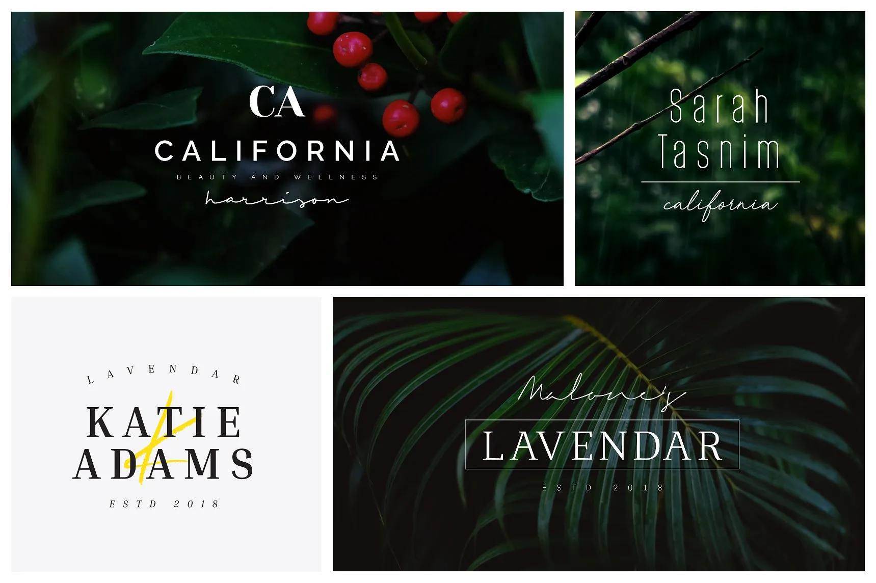 时尚简约的预制标志LOGO模板插图(1)