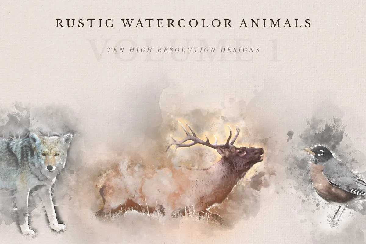 质朴的动物水彩手绘插图Vol.1 Rustic Watercolor Animals#8211; Volume 1