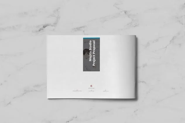 企业项目建议书/提案设计INDD模板 Project Proposal插图(11)