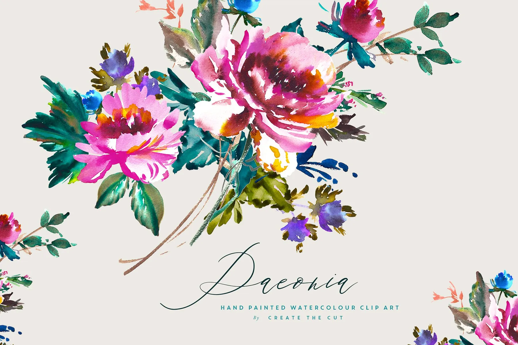 复古手绘水彩白芍花卉剪贴画 Hand Painted Clip Art#8211; Paeonia