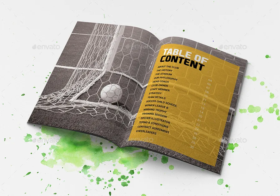多用途足球俱乐部特色小册子插图(2)