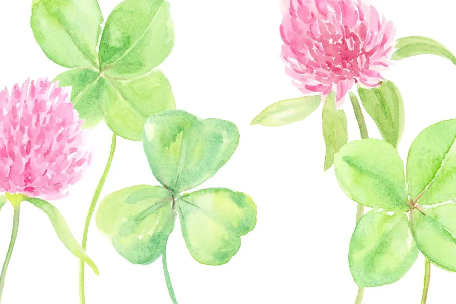 幸运水彩花卉剪贴画 Watercolor Clipart Good Luck Clovers插图(2)
