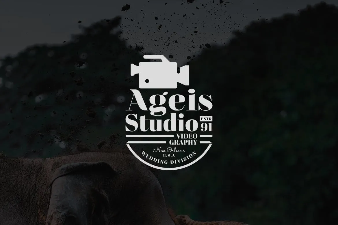 欧美复古设计风格品牌素材库精选LOGO商标模板v7 Vintage Logo & Badge Vol. 7插图(1)