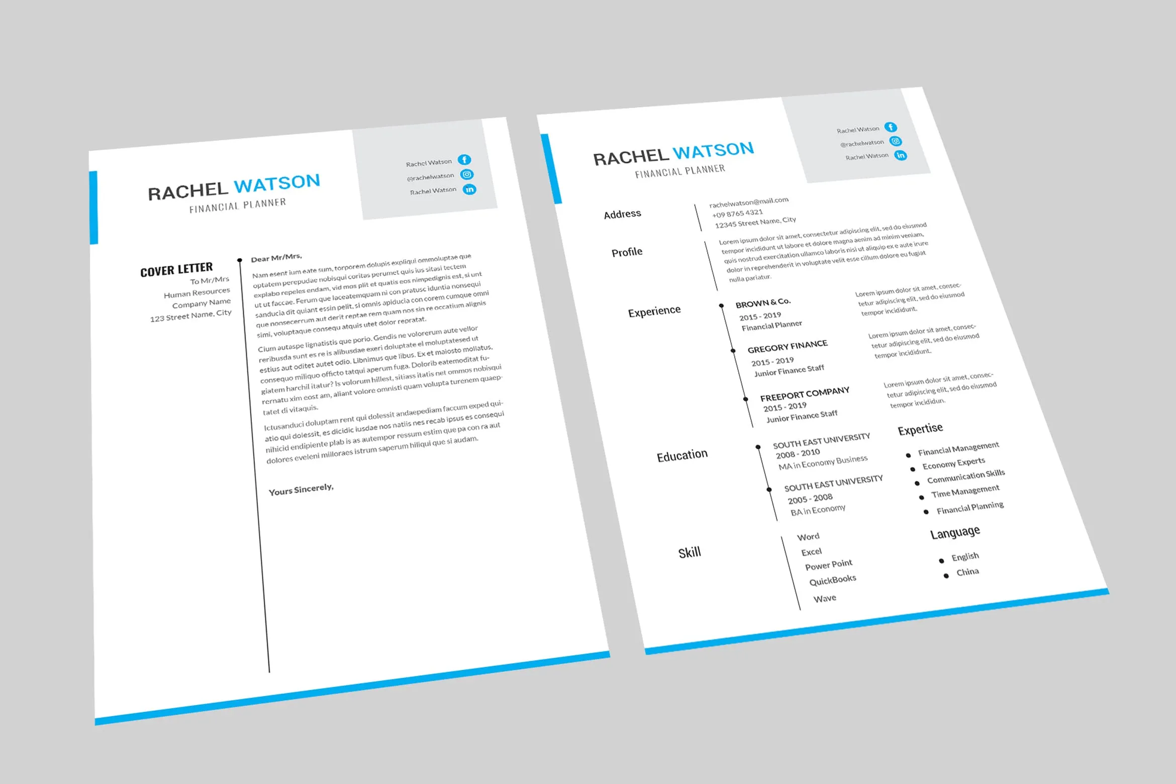 理财规划师个人简历表设计模板 Financial Planner Resume Designer插图