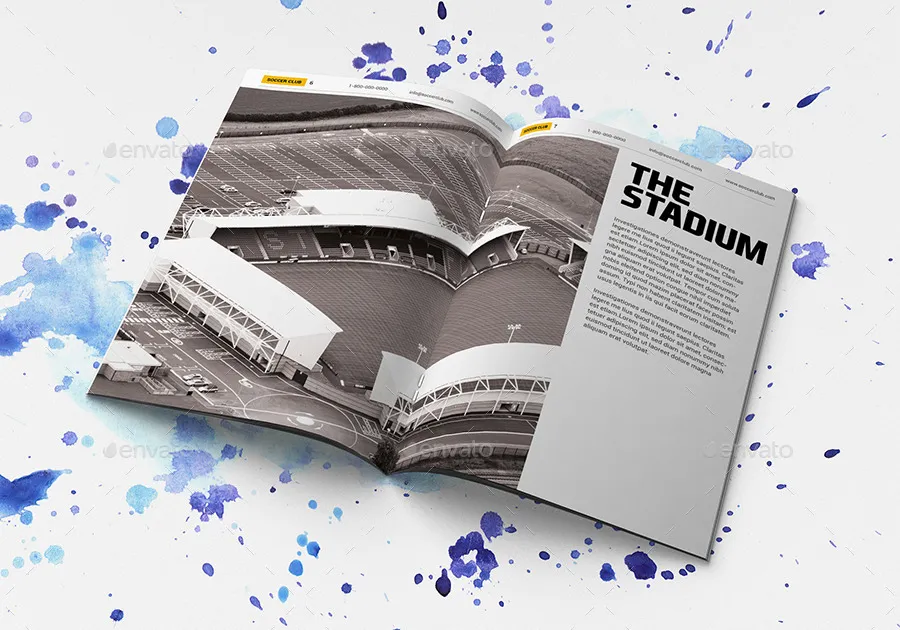 多用途足球俱乐部特色小册子插图(4)