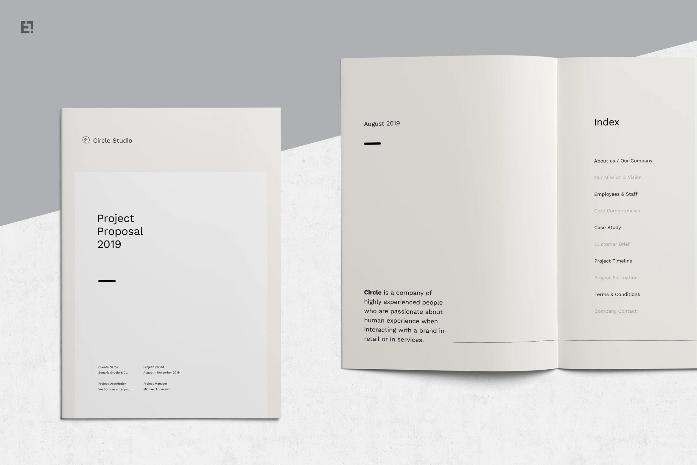 简约时尚设计风格招标书/投资商业计划书设计模板 Proposal