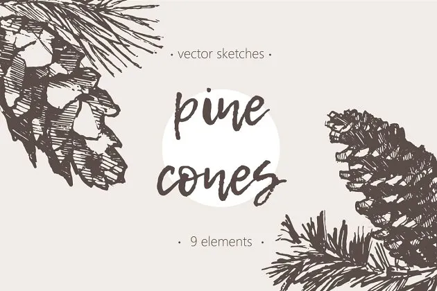 松树素描剪贴画 Sketches of pine cones插图