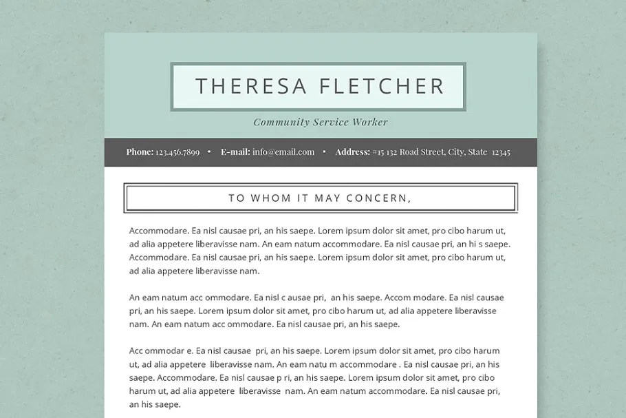 介绍信、简历多合一简约简历模板 Chic Resume Template Package