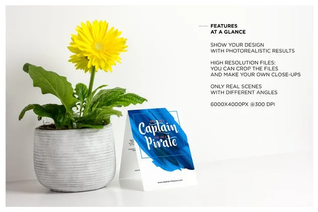 贺卡/邀请函样机模板 Greeting Card  / Invitation Mockup插图(2)