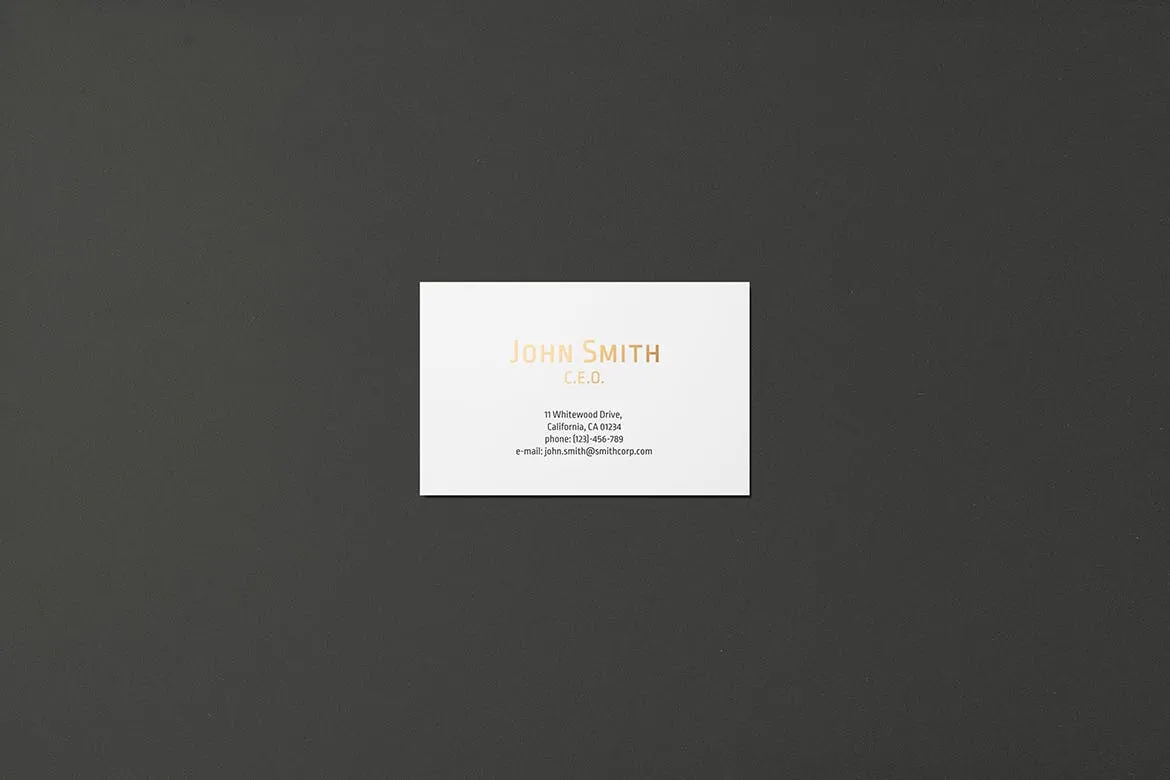 高端企业名片设计效果图素材库精选套装 8.5×5.5cm Landscape Business Card Mockup插图(1)