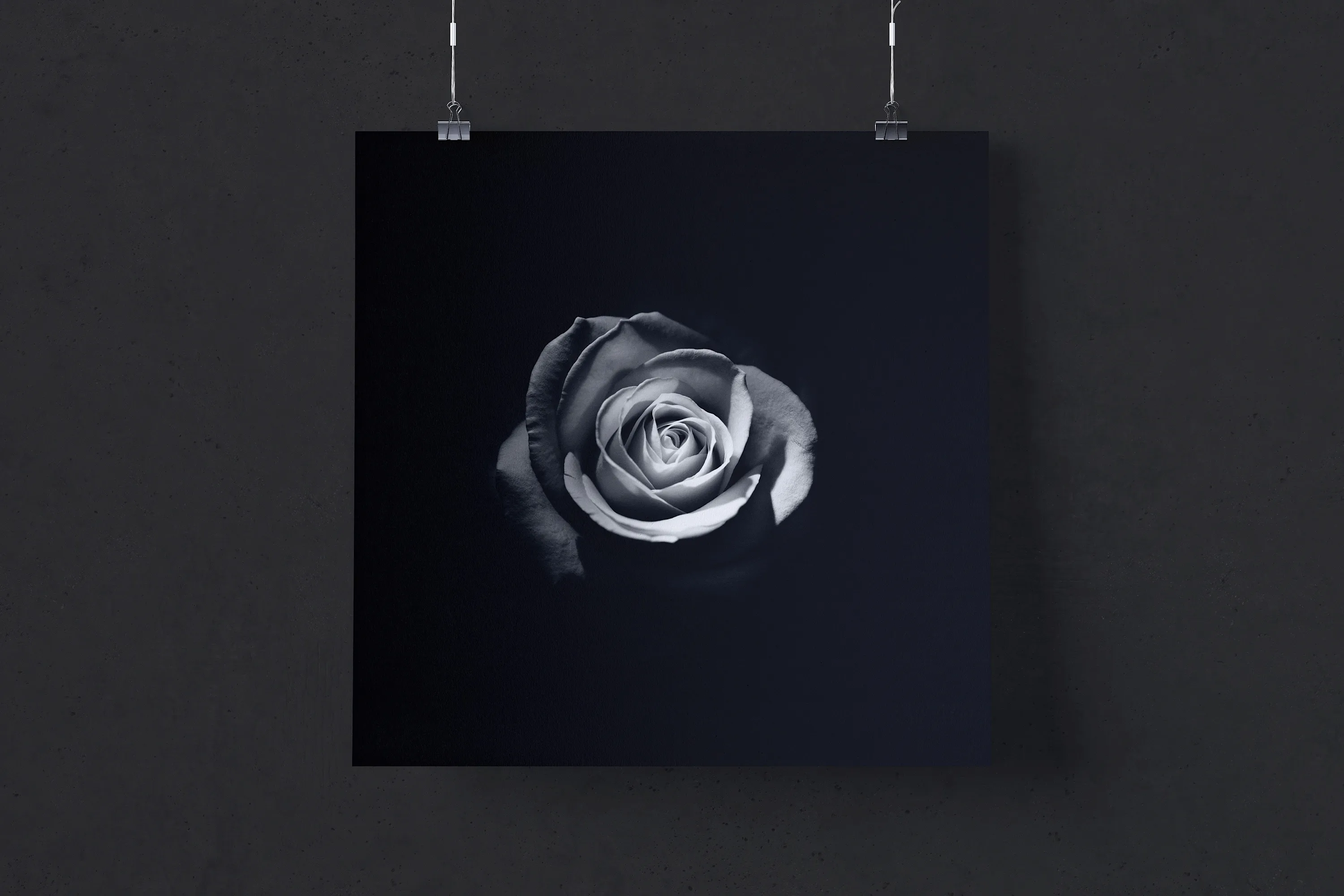 方形悬挂海报设计效果图免费样机模板 Free 1:1 square hanging poster mockup插图(3)