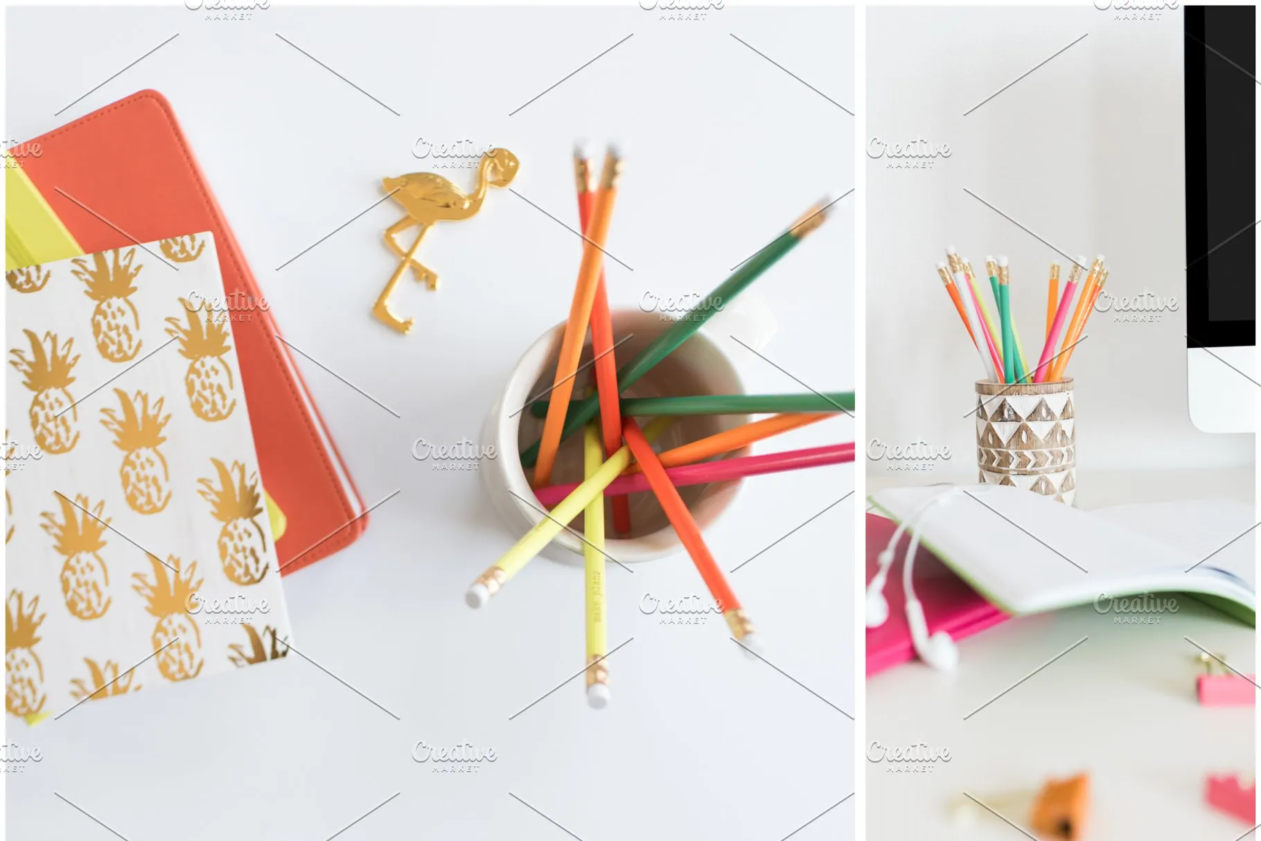 小资格调场景样机合集 MASSIVE Tropical Stock Photo Bundle插图(13)