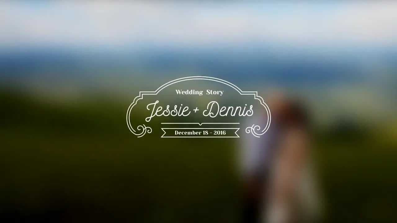 20个独特的婚礼标题像素设计精选AE模板