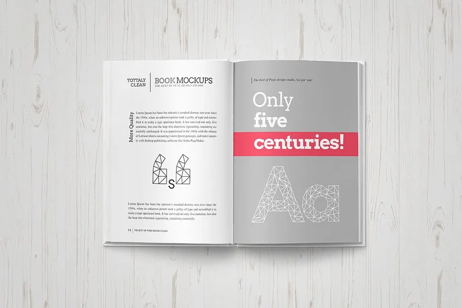 精装图书展示样机 Book Mock-Up Set / Hardcover Edition插图(6)