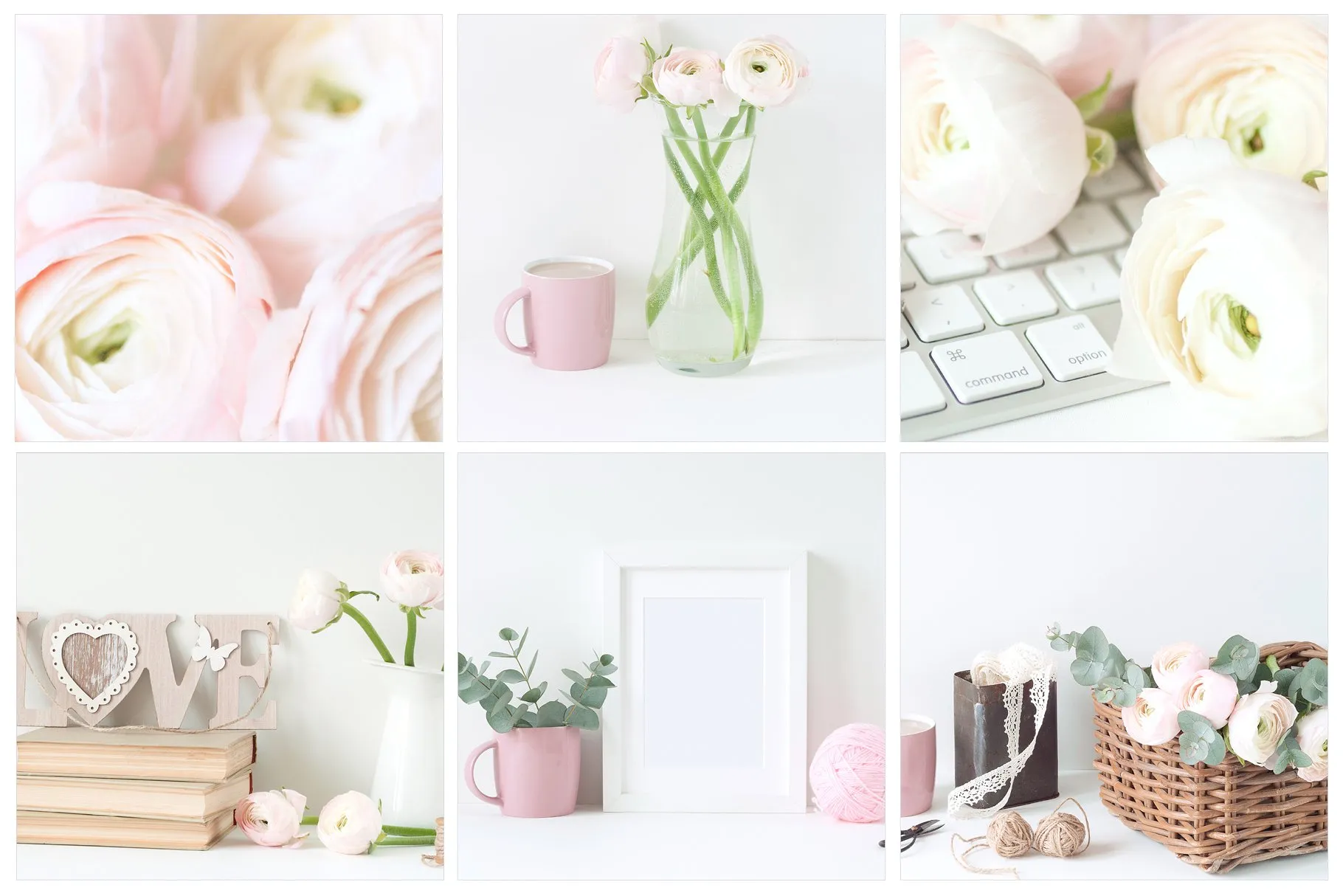 粉红毛茛花卉装饰场景样机 Pink Ranunculus Bundle插图(2)