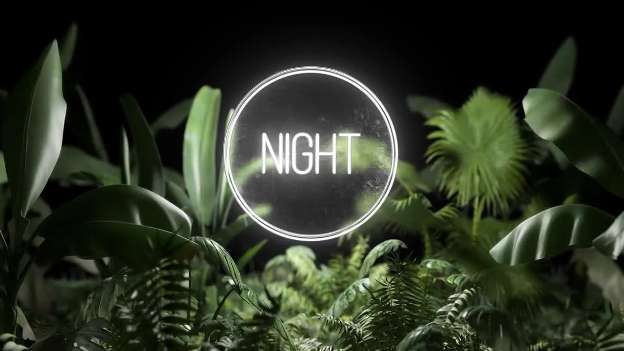 霓虹灯植物有机动画像素设计精选AE模板