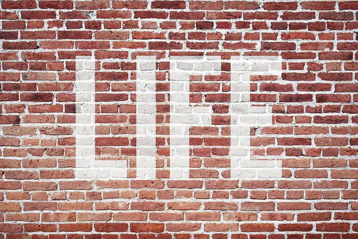 红墙砖背景刷墙文字/Logo预览样机模板 Red Wallbrick Mockup插图(3)