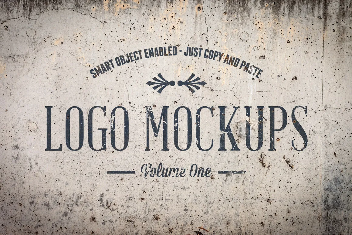 复古 Logo 展示样机模版 Vintage Logo Mockups Volume 1插图(2)