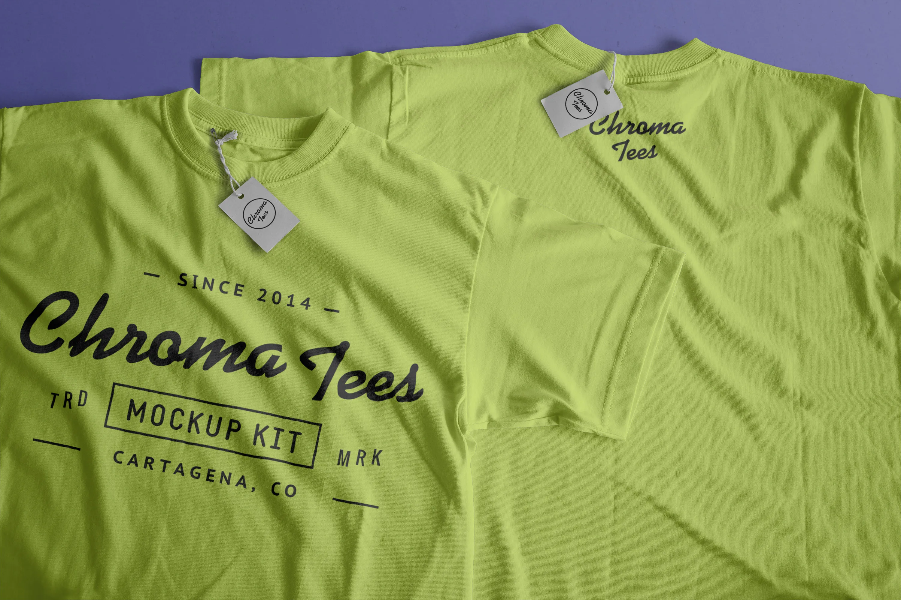 T恤服装真反面设计图样机模板01 T-Shirt With Back Mockup 01