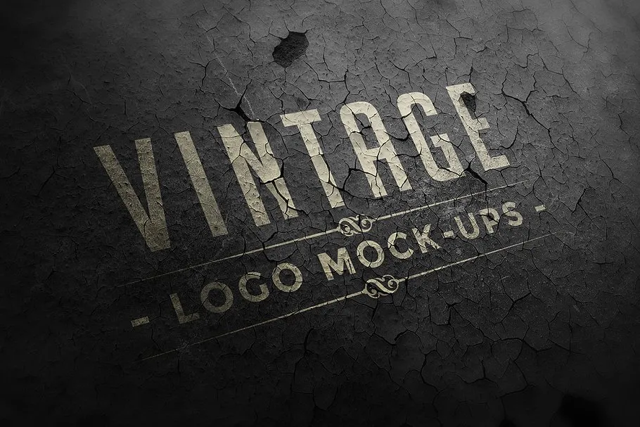 复古怀旧风格Logo样机 Vintage Logo Mock-ups