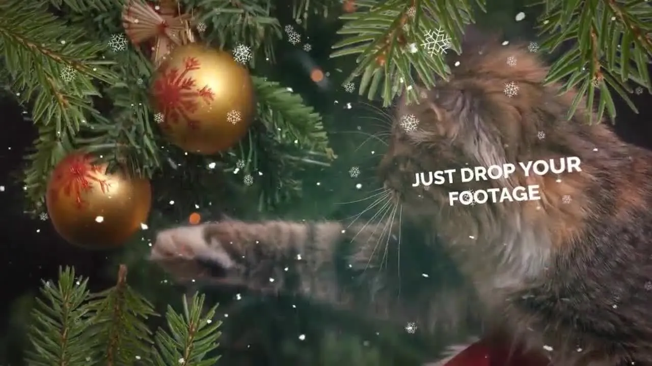 圣诞节和新年照片幻灯片像素设计精选AE模板