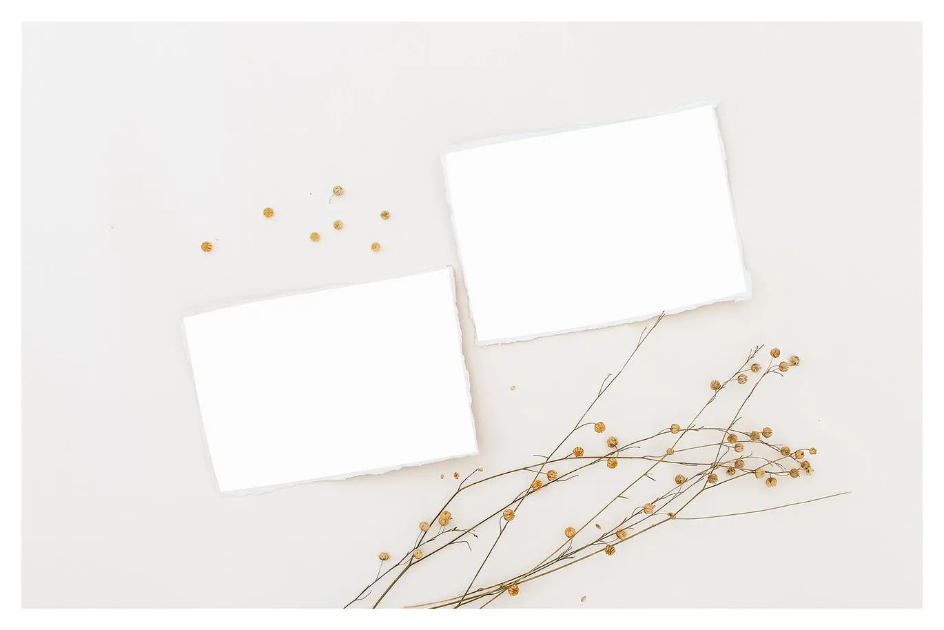 野花装饰背景卡片贺卡设计效果图样机 Wildflowers Cards Mockup插图(3)