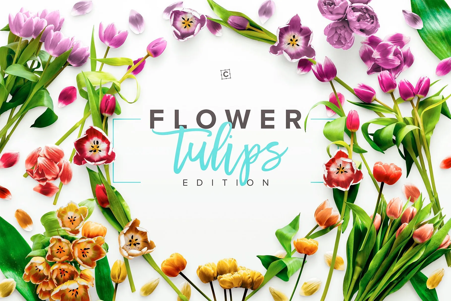 郁金香花卉场景样机 Flower Tulips Edition – Custom Scene[1.18GB]插图(2)