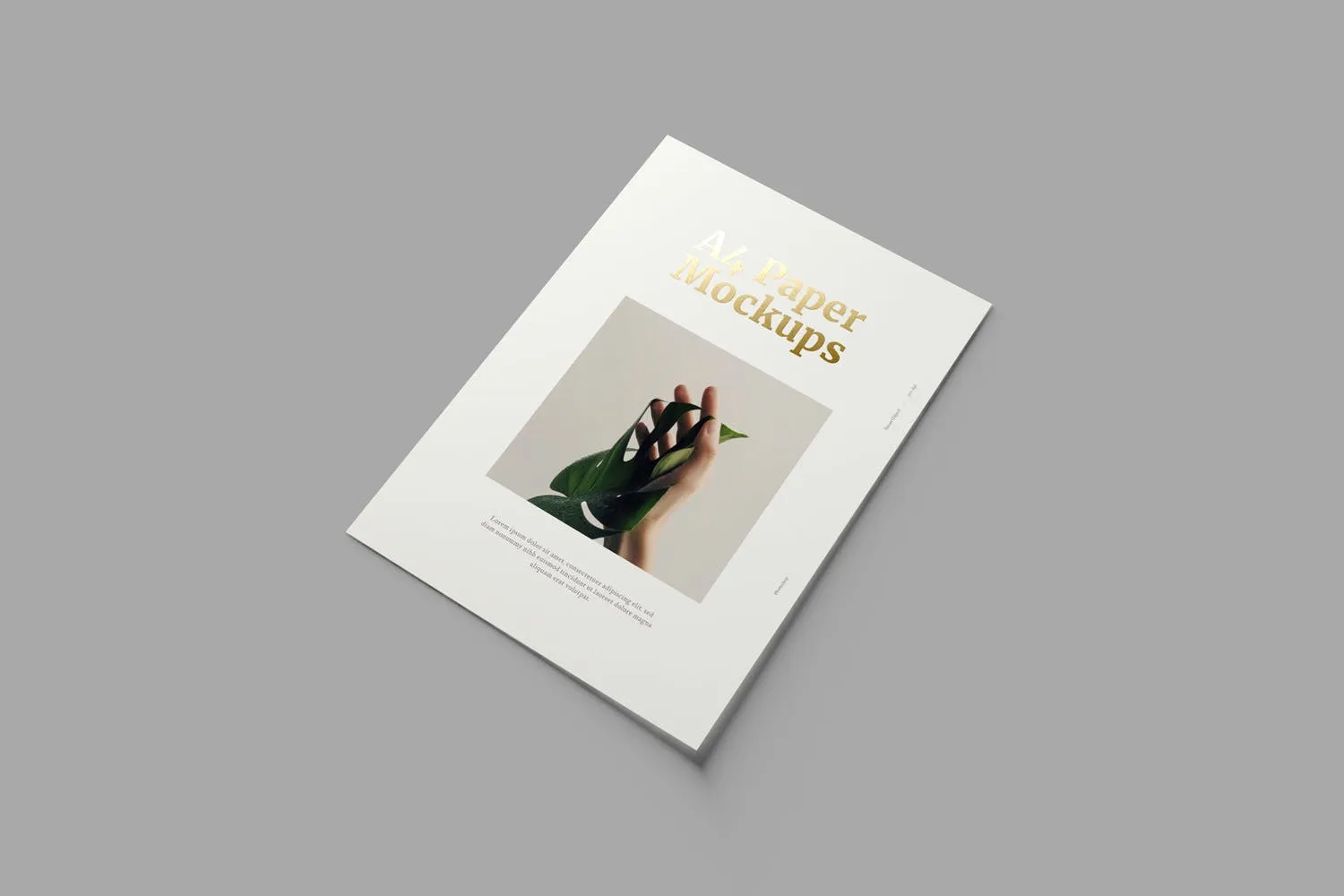 A4纸张宣传单/印刷品设计效果图样机 A4 Paper Mockups插图(2)