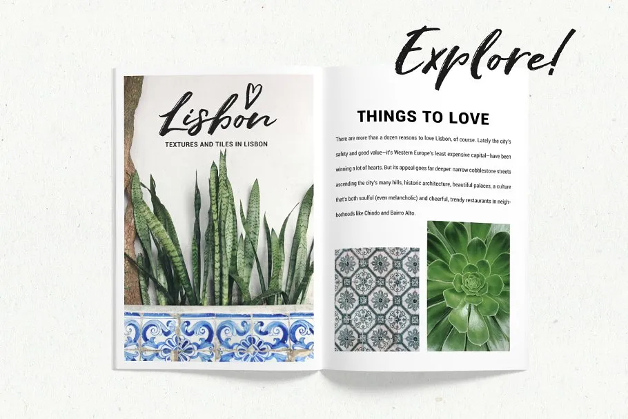 炎炎夏日植物主题场景样机 Summer stock, texture, tiles, plants插图(1)