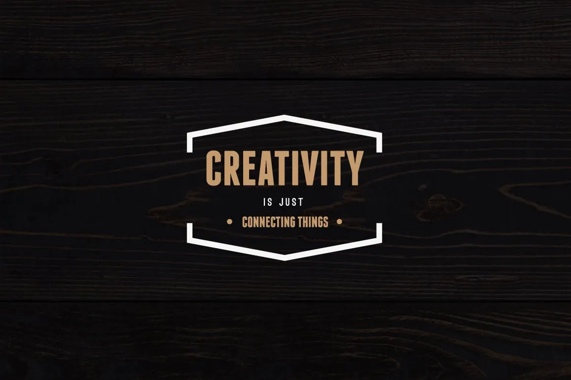 18款复古设计风格品牌Logo&徽标设计模板插图(2)