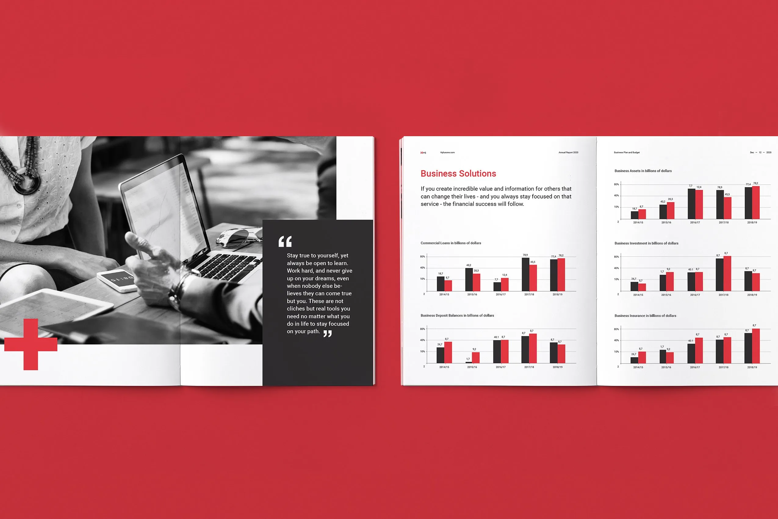 36页专业极简的年度总结杂志模板下载 Annual Reports [indd]插图(10)