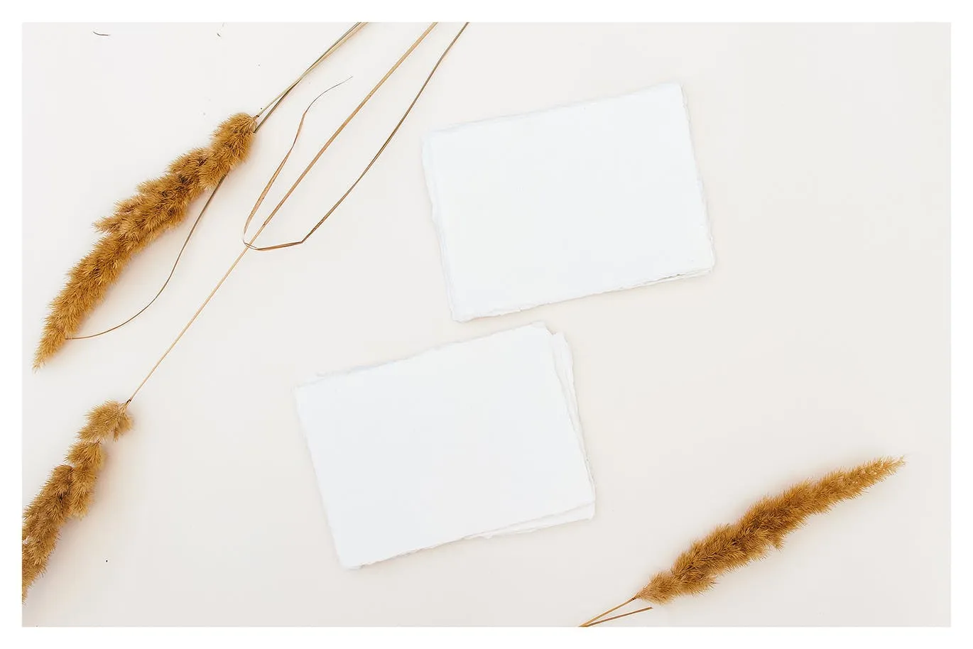 野花装饰背景卡片贺卡设计效果图样机 Wildflowers Cards Mockup插图(5)