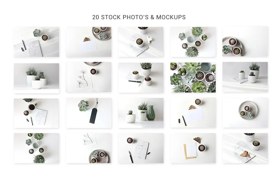 简约绿色生活方式照片样机模板 Stock photo mockups Green lifestyle插图(4)