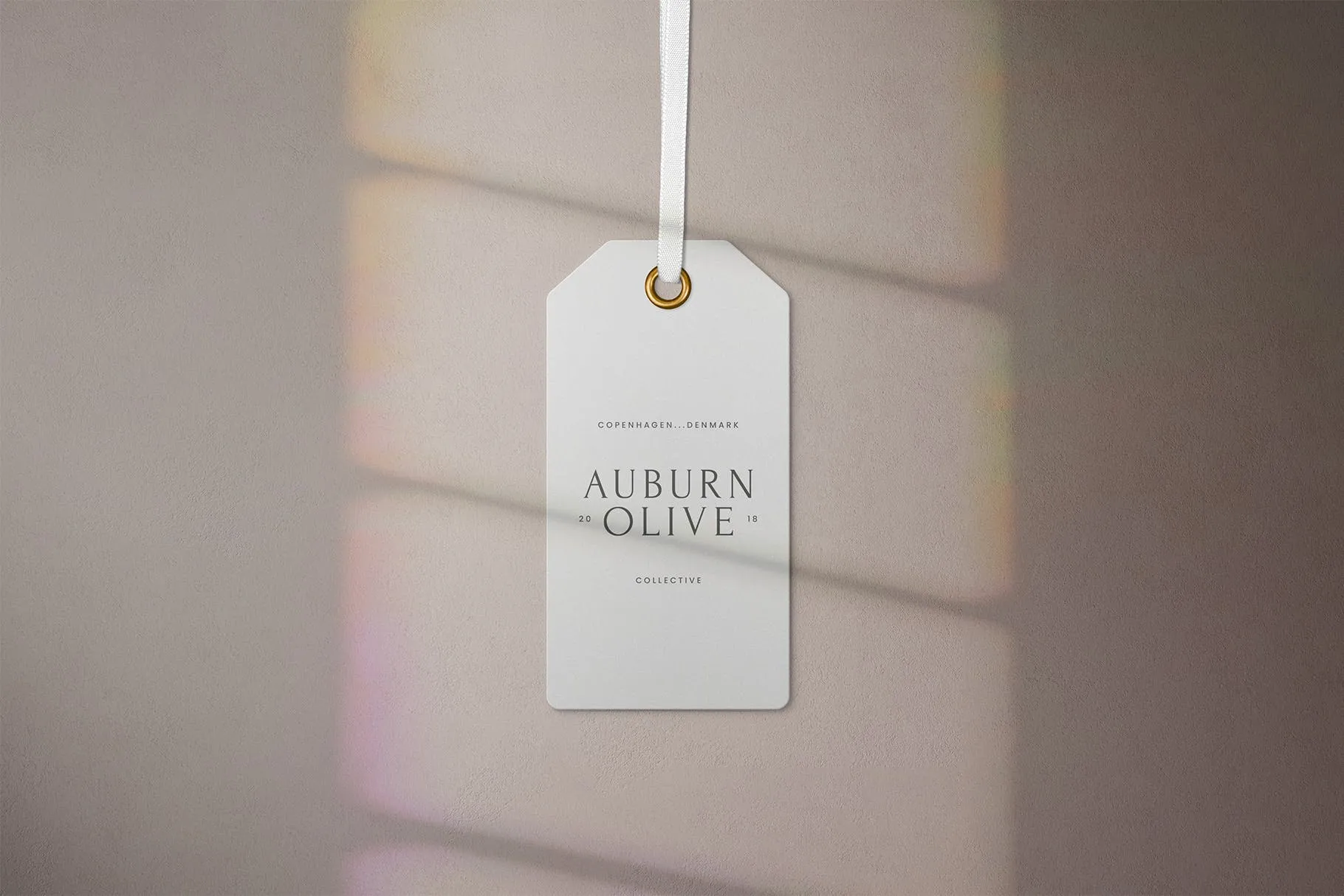 服装标签/吊牌印刷效果图样机素材库精选 Garment Label Tag Mockups插图(1)