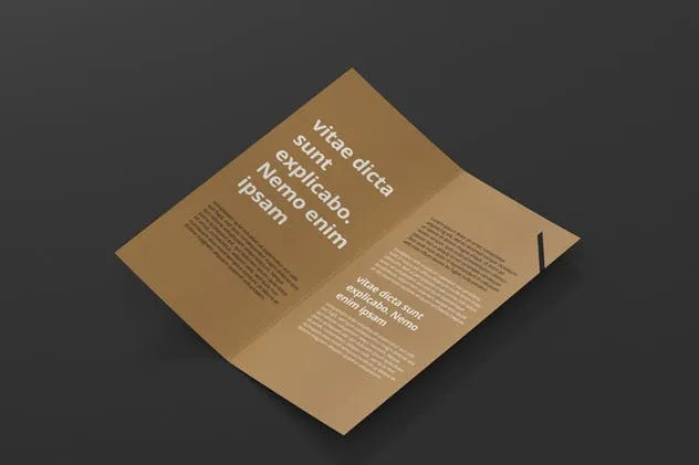 对折折页宣传小册样机 DL Bi-Fold Brochure Mock-Up插图(11)