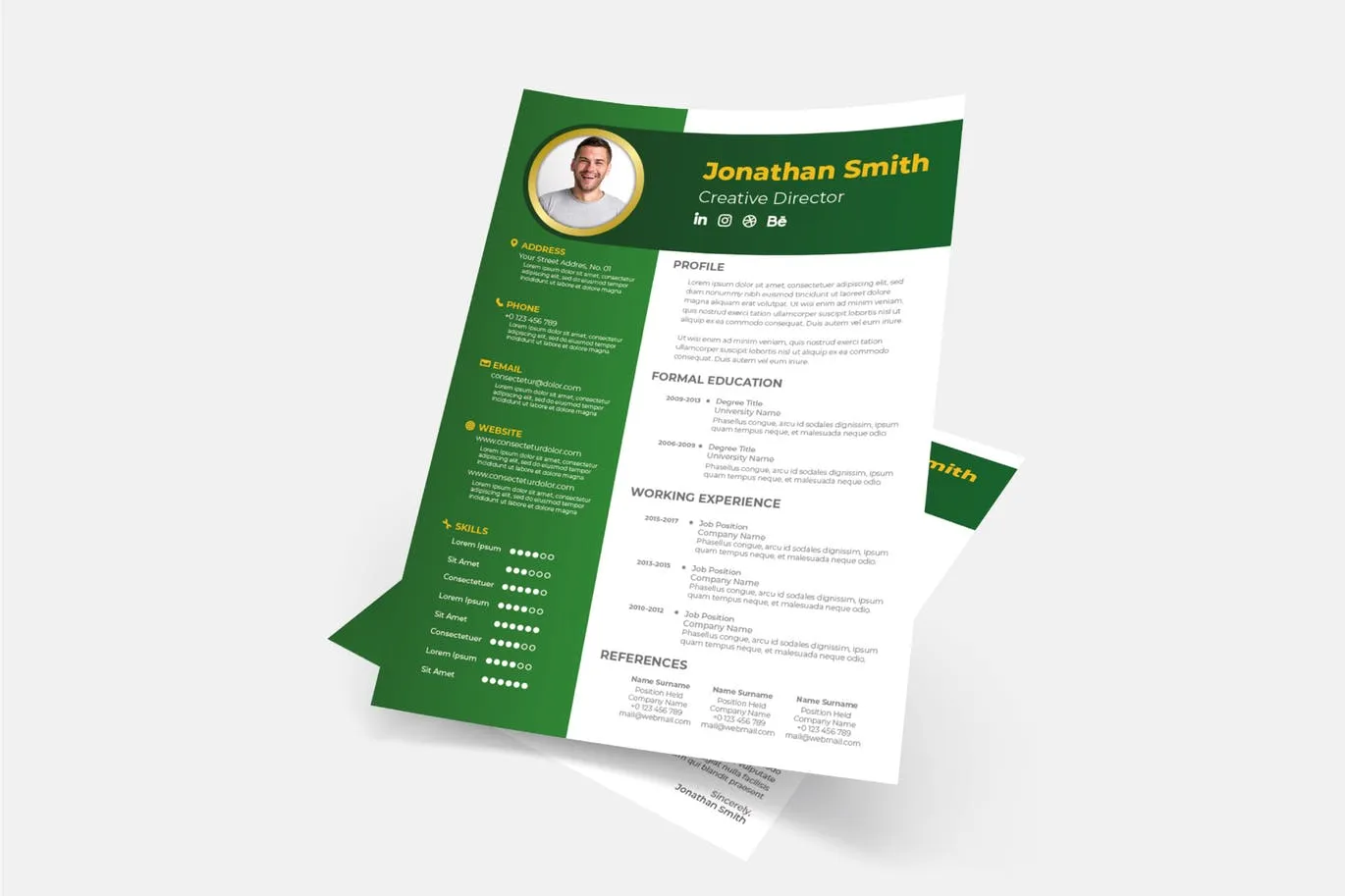 倒L版式设计风格像素设计精选简历模板下载v13 Cv Resume Template.v13