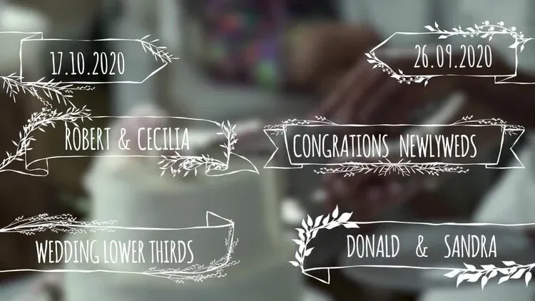 现代精美的手绘婚礼标题像素设计精选AE模板