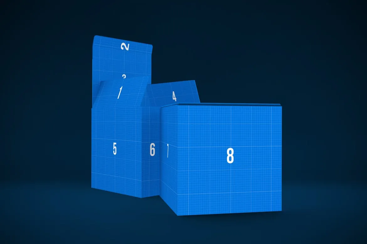 产品包装箱子外观设计多角度预览样机 Box MockUp插图(9)