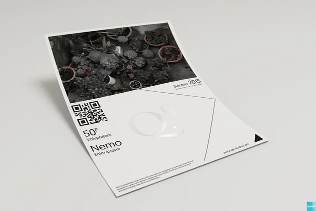 多视角海报传单样机 A4/A5 Poster-Flyer Mockups插图(2)