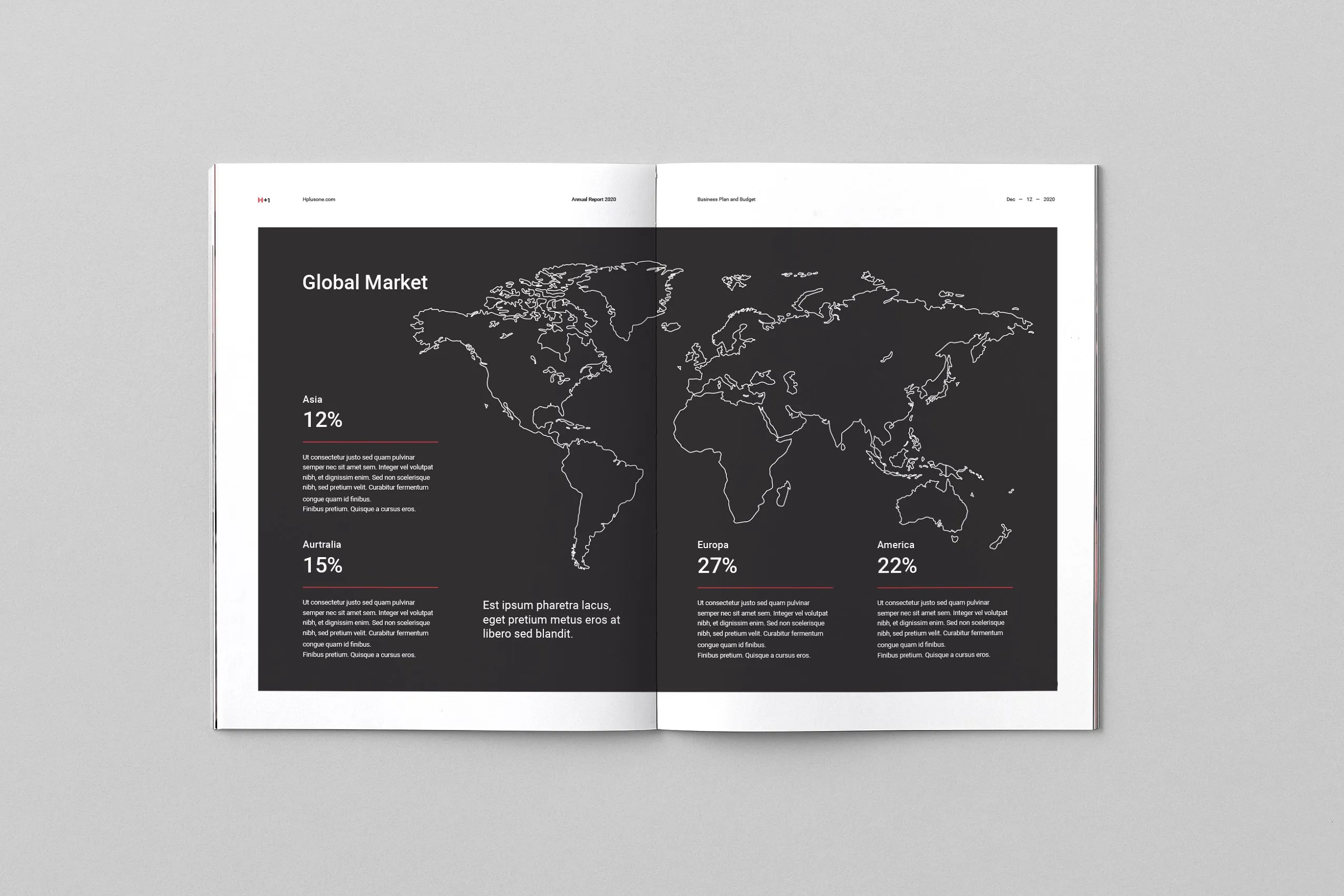 36页专业极简的年度总结杂志模板下载 Annual Reports [indd]插图(9)