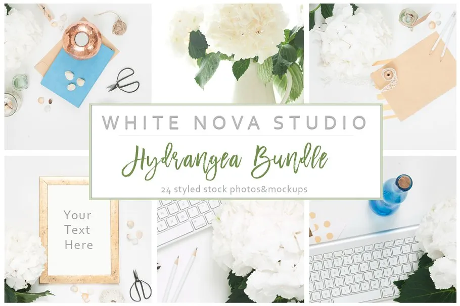 八仙花装饰工作场景样机 Hydrangea Workplace Bundle