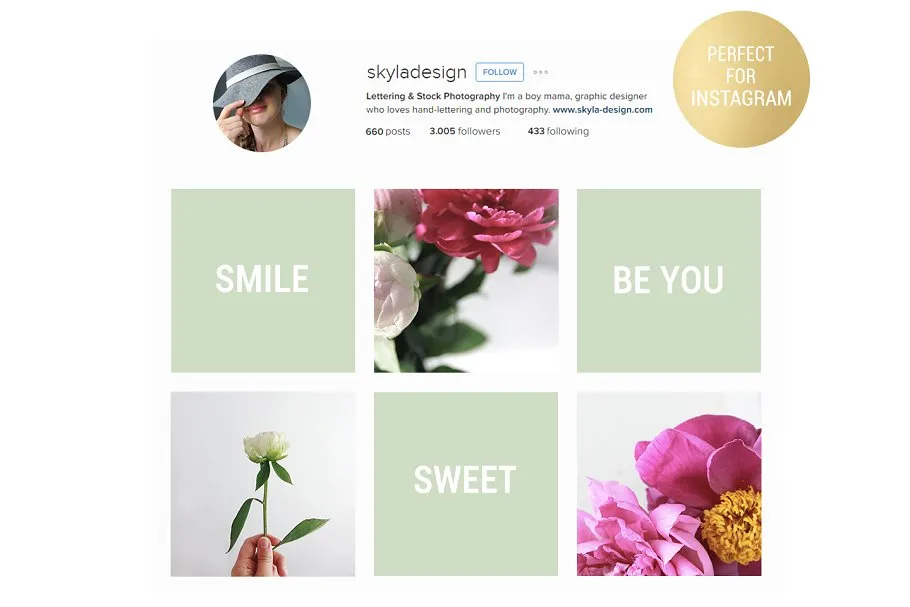 粉红牡丹场景装饰样机模板 Pink peonies stock & mockups插图(1)