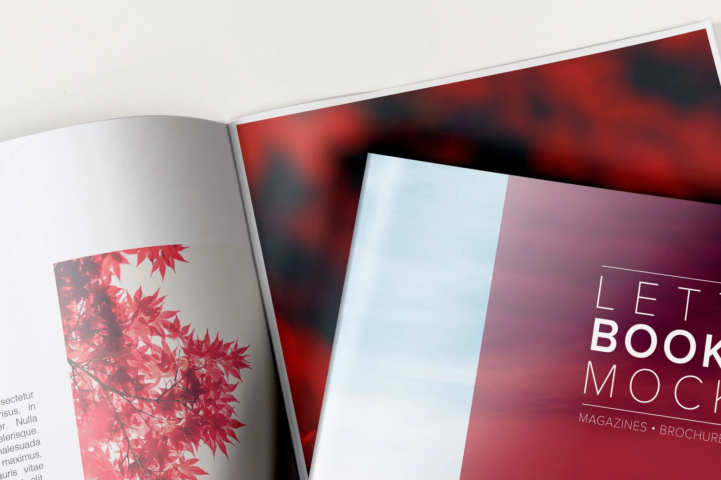 企业画册产品手册封面＆内页设计预览样机 Letter Booklet Cover & Spread Mockup插图(3)
