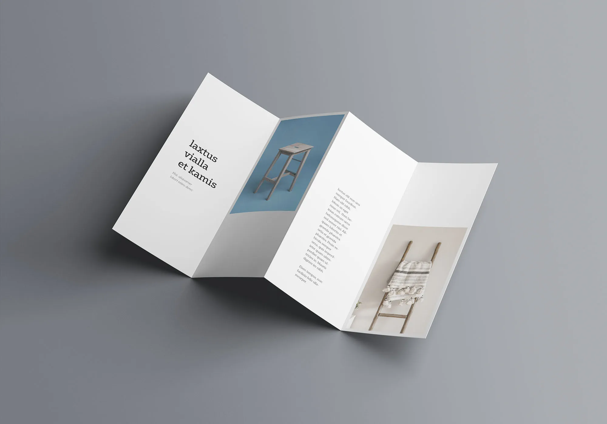 双门折叠宣传册设计效果图样机模板 Double Gatefold Brochure Mockup插图(5)