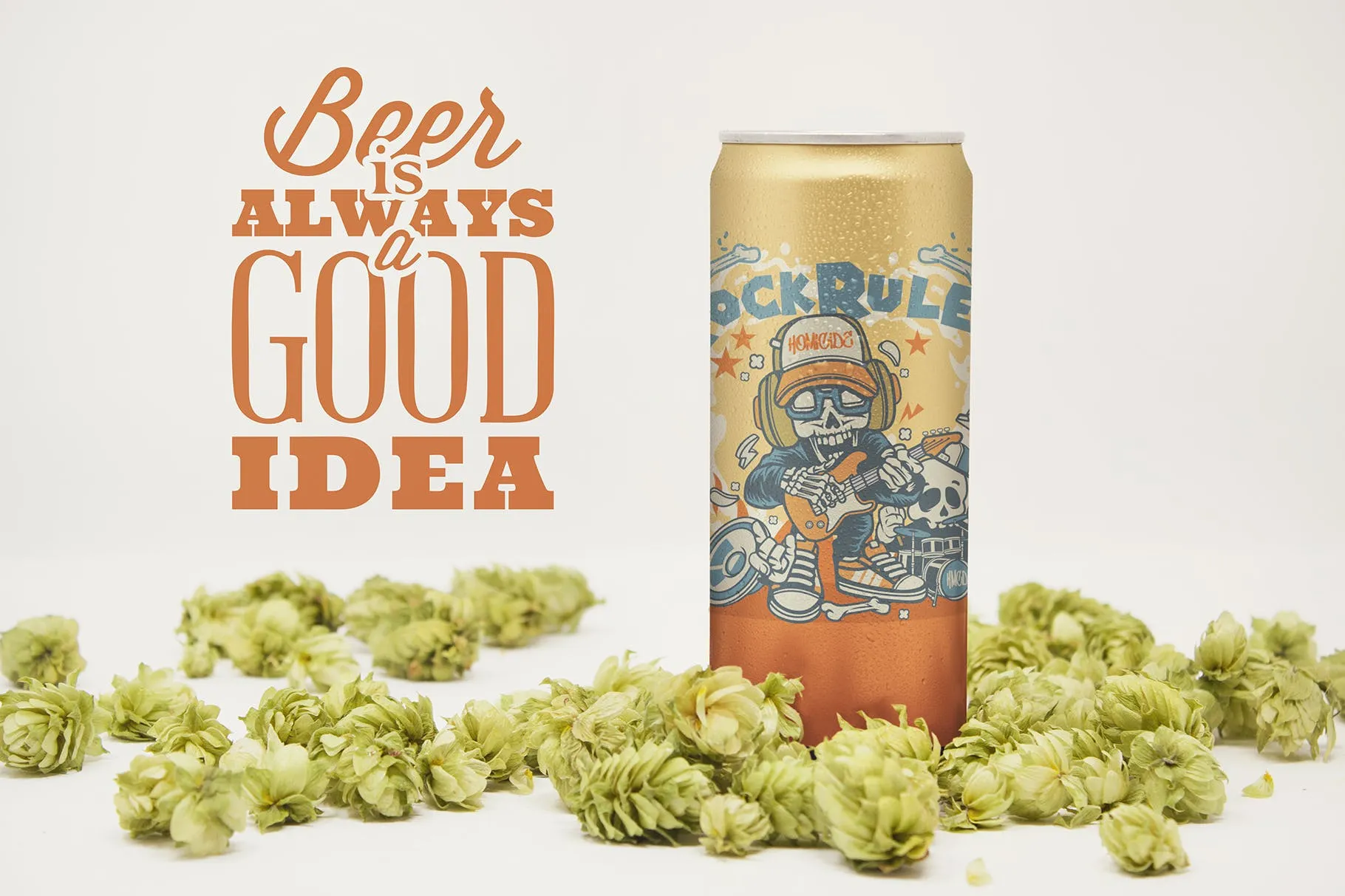 12盎司啤酒易拉罐外观设计前视图素材库精选 Front 12oz Beer Can Mockup插图(2)