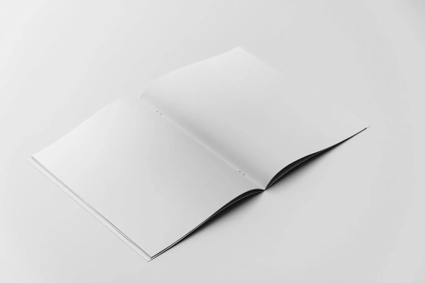 A4宣传小册子/企业画册内页版式设计45度角视图样机素材库精选 A4 Brochure Mockup 2 Pages Spread插图(1)