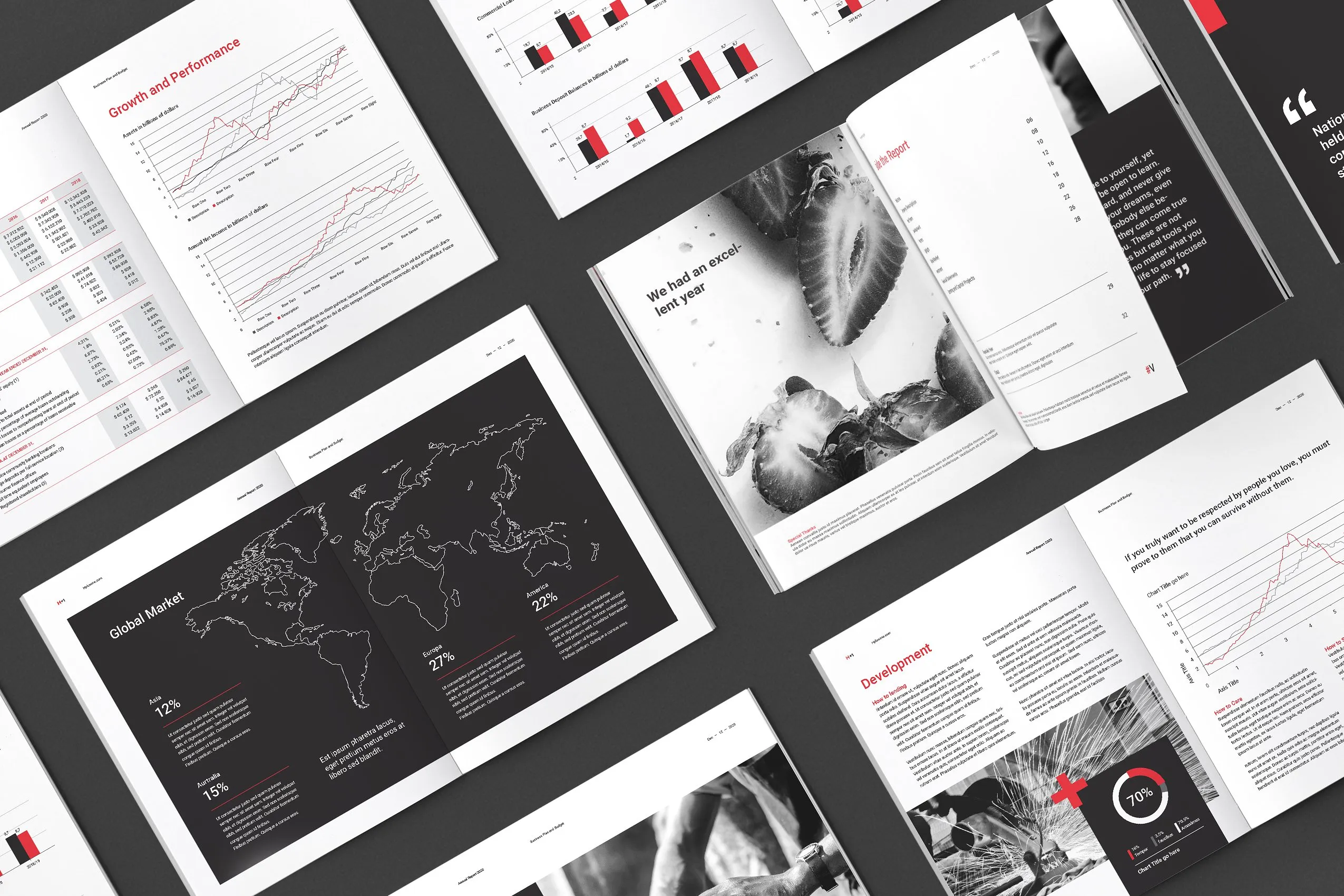 36页专业极简的年度总结杂志模板下载 Annual Reports [indd]插图(13)