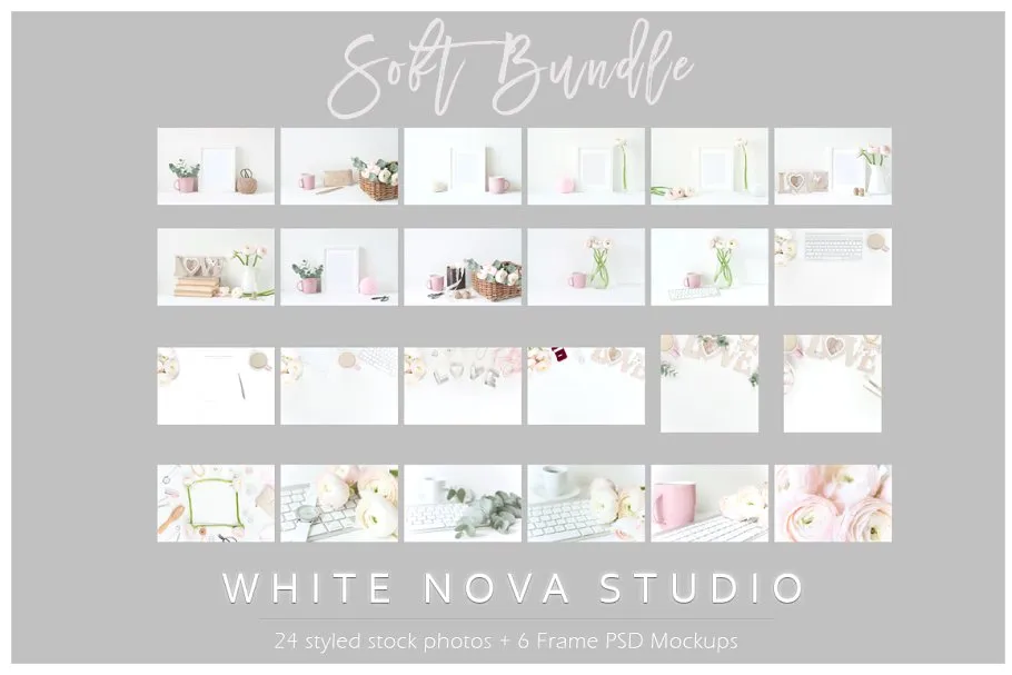 粉红毛茛花卉装饰场景样机 Pink Ranunculus Bundle插图(6)