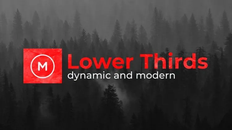 独特创意的低三分之二标题动画像素设计精选AE模板