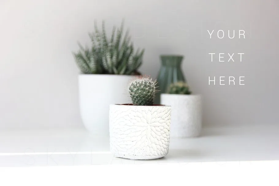 简约绿色生活方式照片样机模板 Stock photo mockups Green lifestyle插图(1)